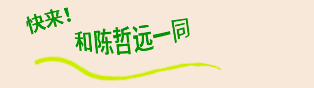 16.gif