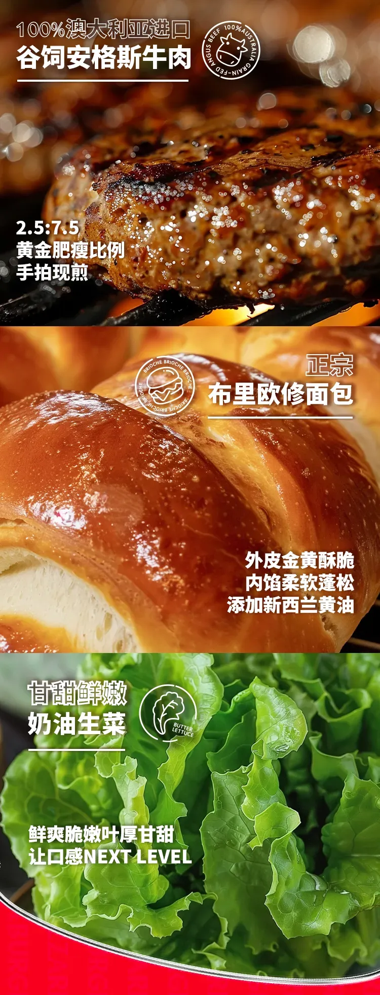4.webp